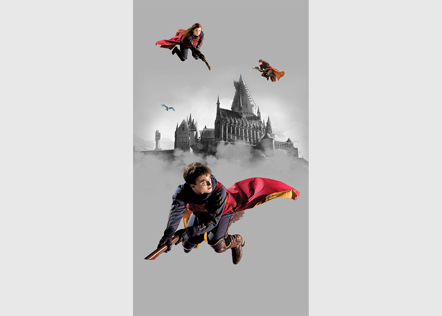 Dětská vliesová fototapeta na zed' Harry Potter Famfrpálové Trio | 150 x 270 cm | FTD2P 5613