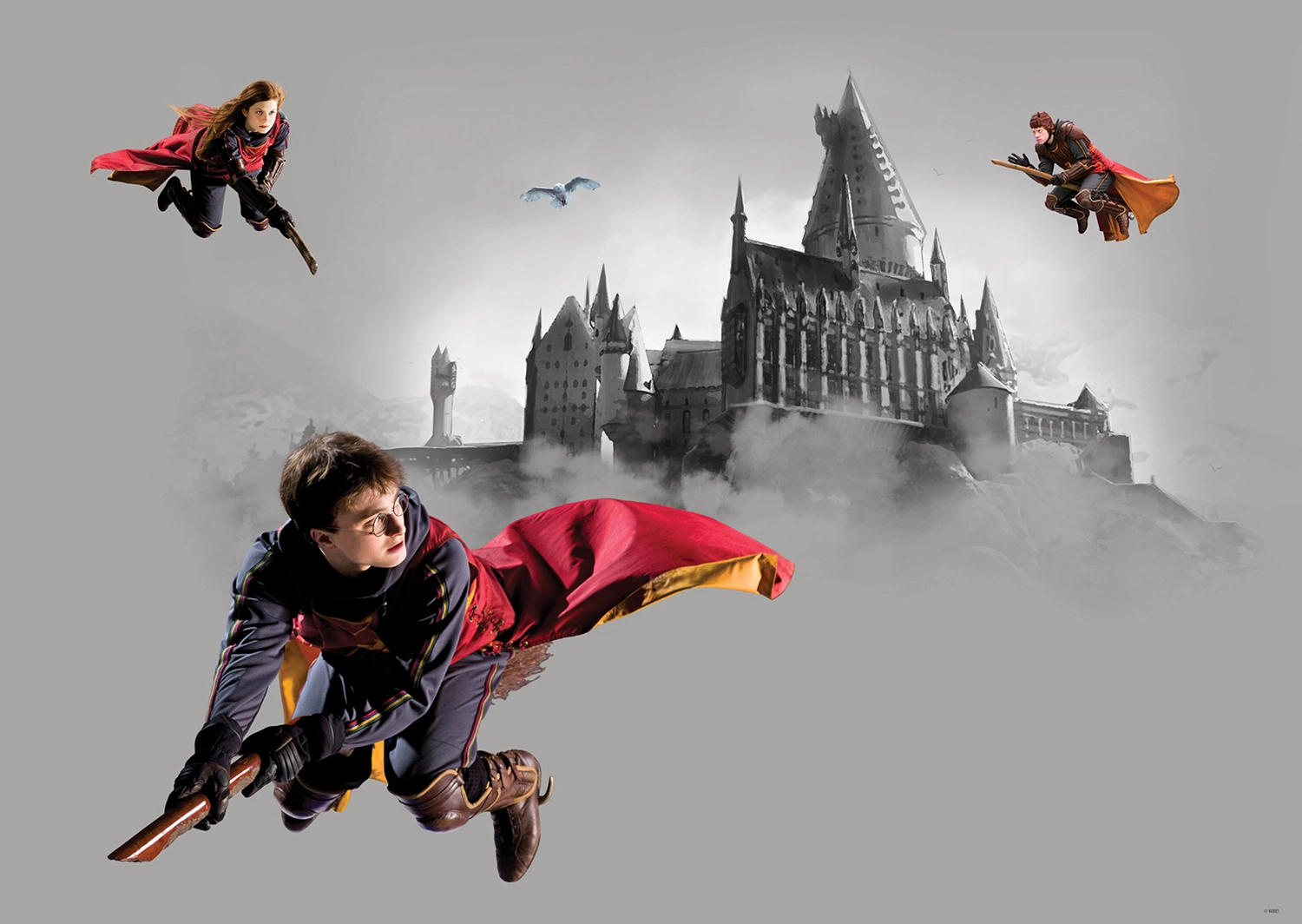 Dětská vliesová fototapeta na zed' Harry Potter | 155 x 110 cm | FTDNM 5293