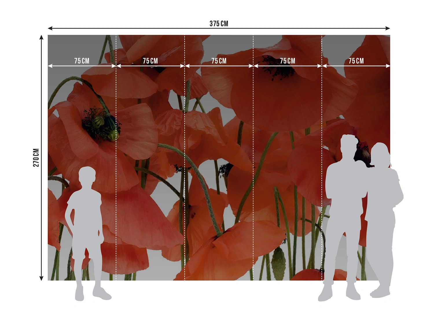 Fototapeta Vlčí Mák | Vliesová fototapeta na zed' | 360 x 270 cm | FTNS 2461