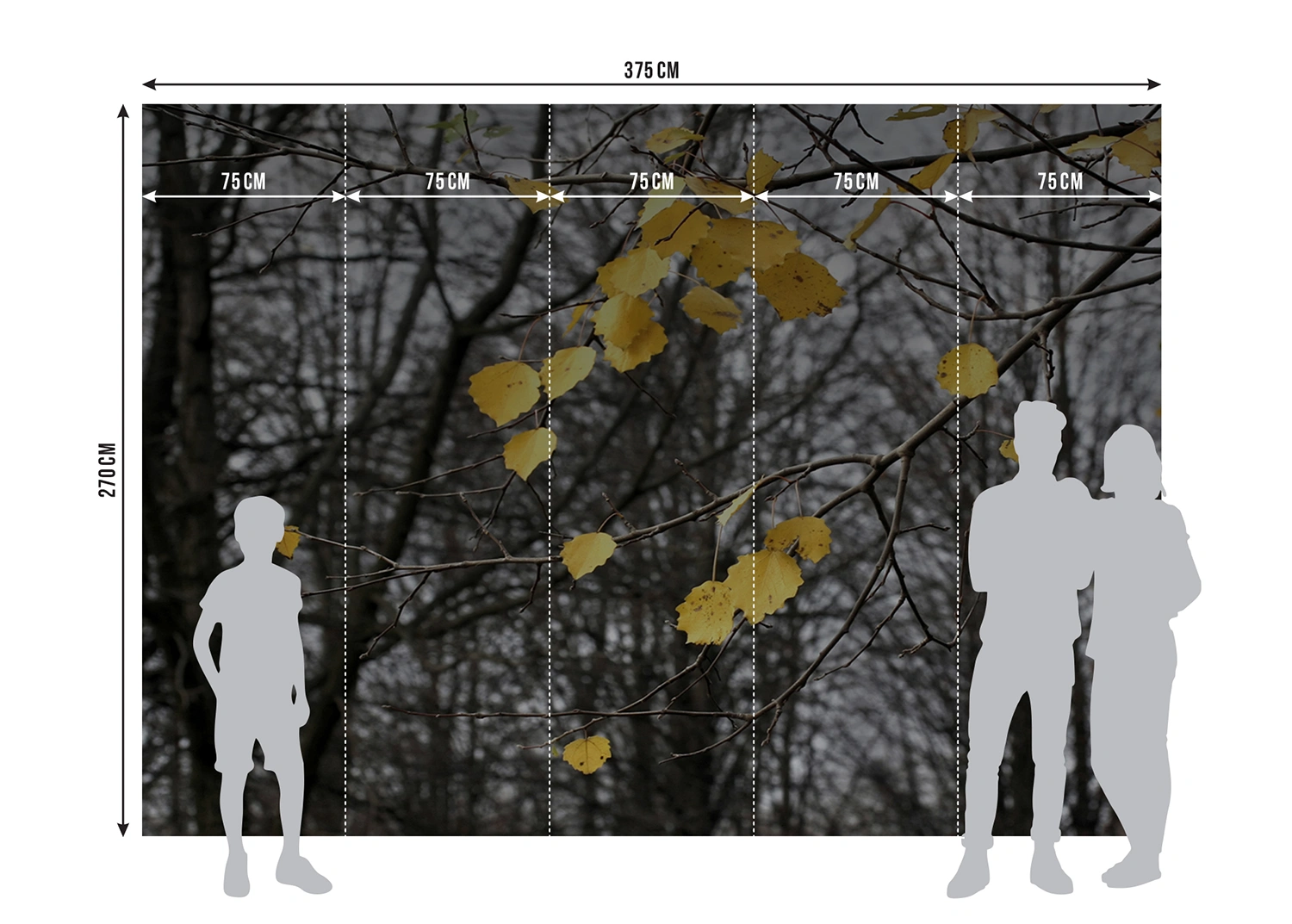 Fototapeta Podzimní Listí | Vliesová fototapeta na zed' | 360 x 270 cm | FTNXXL 0317