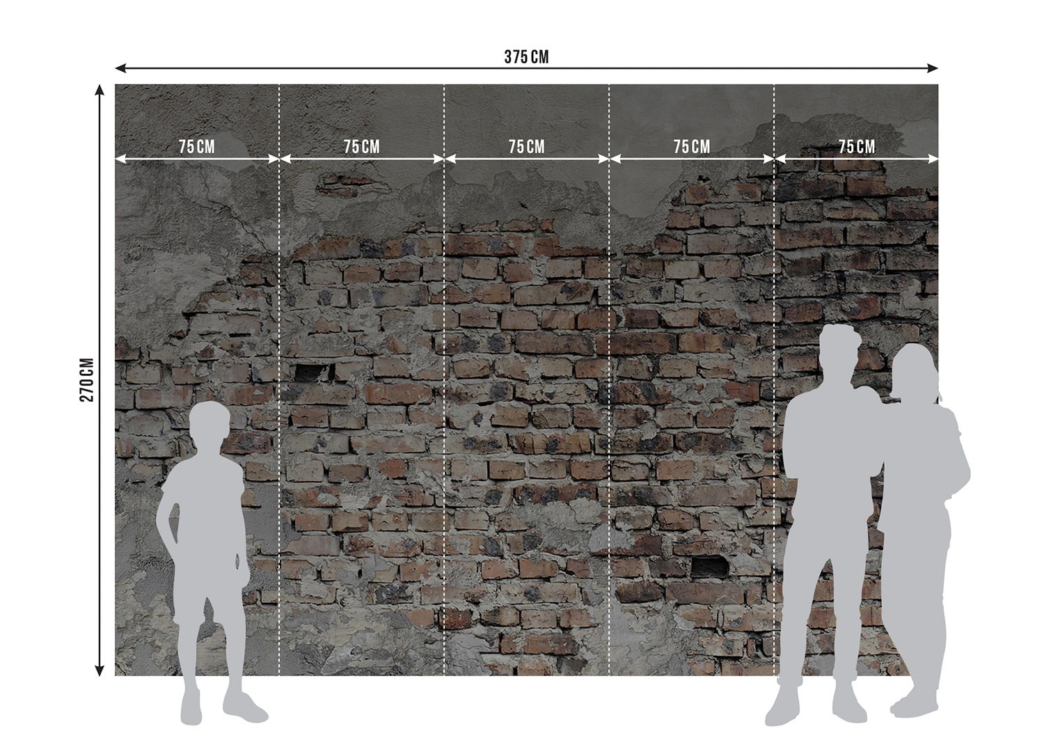 Fototapeta Opadaná Zeď | Vliesová fototapeta na zed' | 375 x 270 cm | FTNXXL 1244