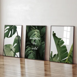 Oboustranná Sada Plakátů Botanika | 3 x 30 x 42 cm | P3 351483 - Obrázek 6