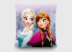 Polštářek Disney Ledové království Klasik | 40 x 40 cm | CND 3115