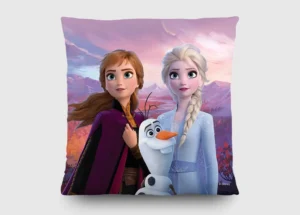 Cushion Disney Frozen in the Forest, 40 x 40 cm, CND 3129