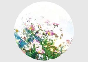 Samolepící vliesová fototapeta na zed' Divoké Kvítí | 70 x 70 cm | CR 3201 - Obrázek 2