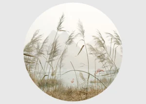 Samolepící vliesová fototapeta na zed' Plameňáci v Rákosí | 70 x 70 cm | CR 3204 - Obrázek 2