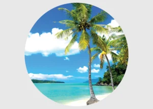 Wall Mural Palms on Beach, 70 x 70 cm, CR 3205 - Obrázek 2