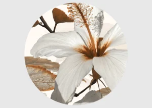 Wall Mural Lily, 70 x 70 cm, CR 3217 - Obrázek 2