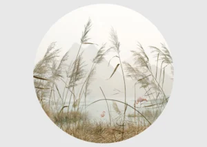 Samolepící vliesová fototapeta na zed' Plameňáci v Rákosí | 140 x 140 cm | CR 3304 - Obrázek 2