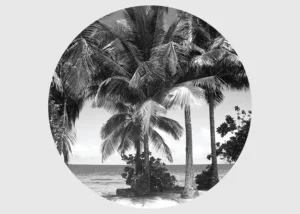 Wall Mural Monochromatic Palms, 140 x 140 cm, CR 3309 - Image 2