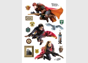 Dětská samolepka na zeď Harry Potter | 42.5 x 65 cm | DK 1645