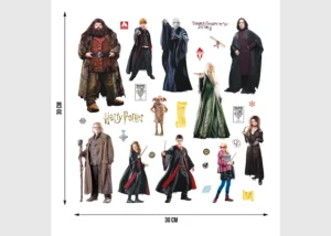 Dětská samolepka na zeď Harry Potter | 30 x 30 cm | DKS 3825 - Obrázek 3