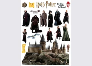 Dětská samolepka na zeď Harry Potter Kouzelné Bradavice | 65 x 85 cm | DK 2347