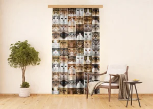 Dekorativní závěs Kočky | 140 x 245 cm | FCSL 7567