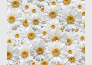 Dekorativní závěs Květy | 180 x 160 cm | FCSXL 4810 - Obrázek 4