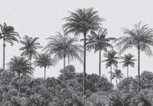 Wall Mural Palm Noir, Premium Non-woven Wallpaper, 375 x 270 cm, FT5P 352391 - Image 2