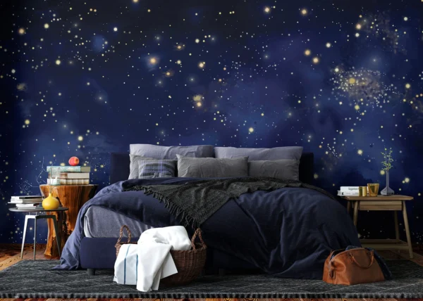 Wall Mural Night Sky, 375 x 270 cm, FT5P 352151
