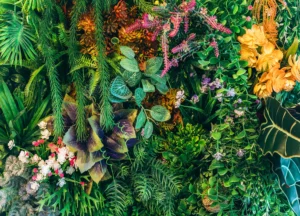 Fototapeta Rozkvět Při Západu Slunce | Vliesová fototapeta na zed' | 375 x 270 cm | FT5P 352415 - Obrázek 2