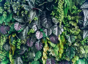Wall Mural Royal Foliage, Premium Non-woven Wallpaper, 375 x 270 cm, FT5P 352419 - Image 2