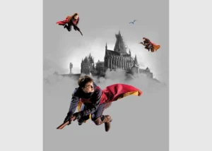 Wall Mural Harry Potter Quidditch, 225 x 270 cm, FTD3P 5167 - Obrázek 2