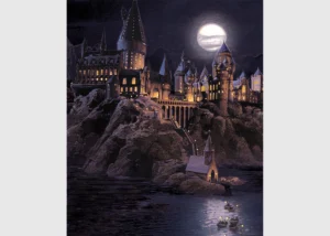 Dětská vliesová fototapeta na zed' Harry Potter | 225 x 270 cm | FTD3P 5177 - Obrázek 2