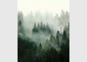 Vliesová fototapeta na zed' Lesní Mlha | 225 x 270 cm | FT3P 5903 - Obrázek 2