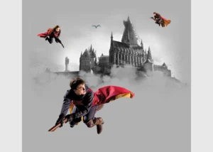 Dětská vliesová fototapeta na zed' Harry Potter Famfrpálové Trio | 300 x 270 cm | DTD4P 5095 - Obrázek 2