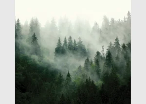 Vliesová fototapeta na zed' Lesní Mlha | 300 x 270 cm | FT4P 5703 - Obrázek 2