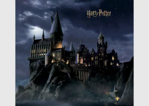 Wall Mural Harry Potter, 300 x 270 cm, DTD4P 7803 - Obrázek 2