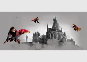 Wall Mural Harry Potter, 170 x 75 cm, FTDNH 5517 - Image 2