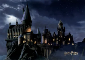Wall Mural Harry Potter, 155 x 110 cm, FTDNM 7903 - Image 2
