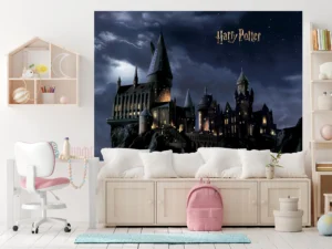 Wall Mural Harry Potter, 252 x 182 cm, FTDXL 1965 - Image 5