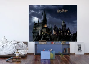 Wall Mural Harry Potter, 252 x 182 cm, FTDXL 1965 - Image 3