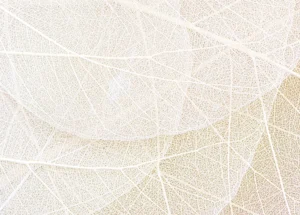 Wall Mural White Paths, 375 x 270 cm, FTNS 1247 - Image 2