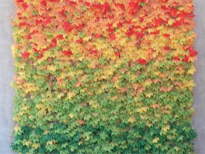 Wall Mural Autumn Wall, Premium Non-woven Wallpaper, 360 x 270 cm, FTNS 1261 - Image 2