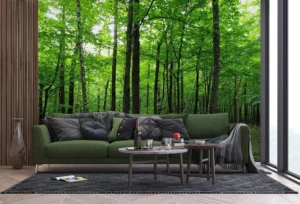 Wall Mural Green Forest, 375 x 270 cm, FTNS 2446 - Obrázek 5