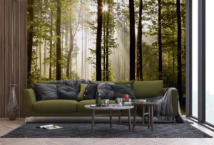 Wall Mural Morning Forest, 375 x 270 cm, FTNS 2447 - Obrázek 3