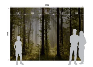 Wall Mural Morning Forest, 375 x 270 cm, FTNS 2447 - Obrázek 5