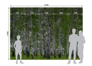 Wall Mural Birch Forest, Premium Non-woven Wallpaper, 375 x 270 cm, FTNS 2448 - Image 7