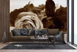 Fototapeta Černobílá Růže | Vliesová fototapeta na zed' | 360 x 270 cm | FTNS 2458