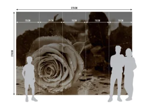 Fototapeta Černobílá Růže | Vliesová fototapeta na zed' | 360 x 270 cm | FTNS 2458 - Obrázek 5