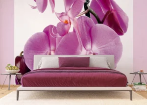 Fototapeta Fialová Orchidej | Vliesová fototapeta na zed' | 360 x 270 cm | FTNS 2459
