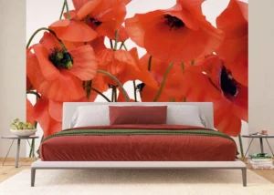 Wall Mural Wild Poppies, 375 x 270 cm, FTNS 2461 - Obrázek 3