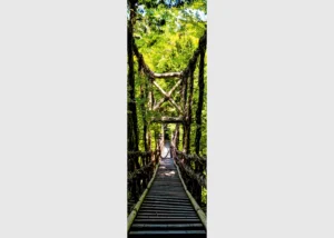 Vliesová fototapeta na zed' Dřevěný Most v Džungli | 90 x 270 cm | FTNV L3702 - Obrázek 2