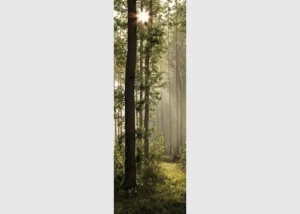 Wall Mural Morning Forest, 90 x 270 cm, FTNVL 3712 - Obrázek 2