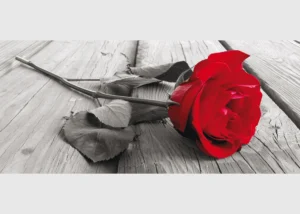 Vliesová fototapeta na zed' Červená Růže | 202 x 90 cm | FTNH 2717 - Obrázek 2