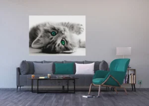 Vliesová fototapeta na zed' Hravé Kotě | 155 x 110 cm | FTNM 2605 - Obrázek 3