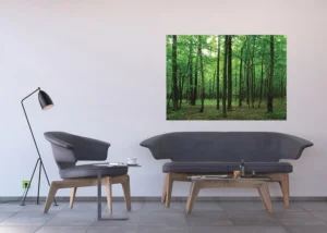 Vliesová fototapeta na zed' V Listnatém Lese | 155 x 110 cm | FTNM 2656 - Obrázek 3