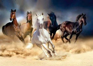 Wall Mural Horses, 160 x 110 cm, FTNM 2665 - Image 2