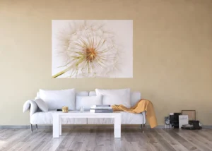 Vliesová fototapeta na zed' Rozkvetlá Pampeliška | 155 x 110 cm | FTNM 2678